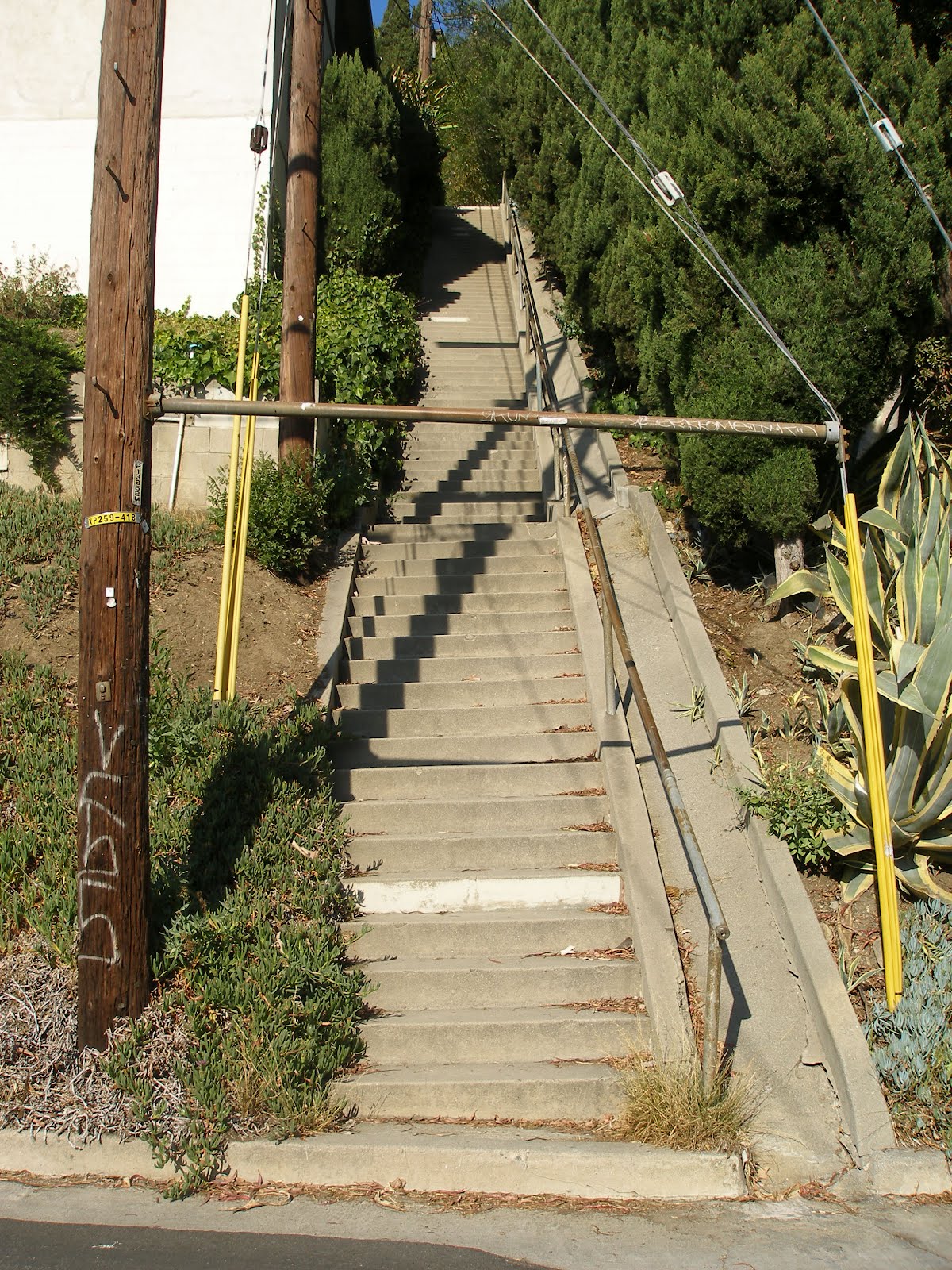 Los Angeles Climbing the Hidden Stairways Staircases in Silver Lake