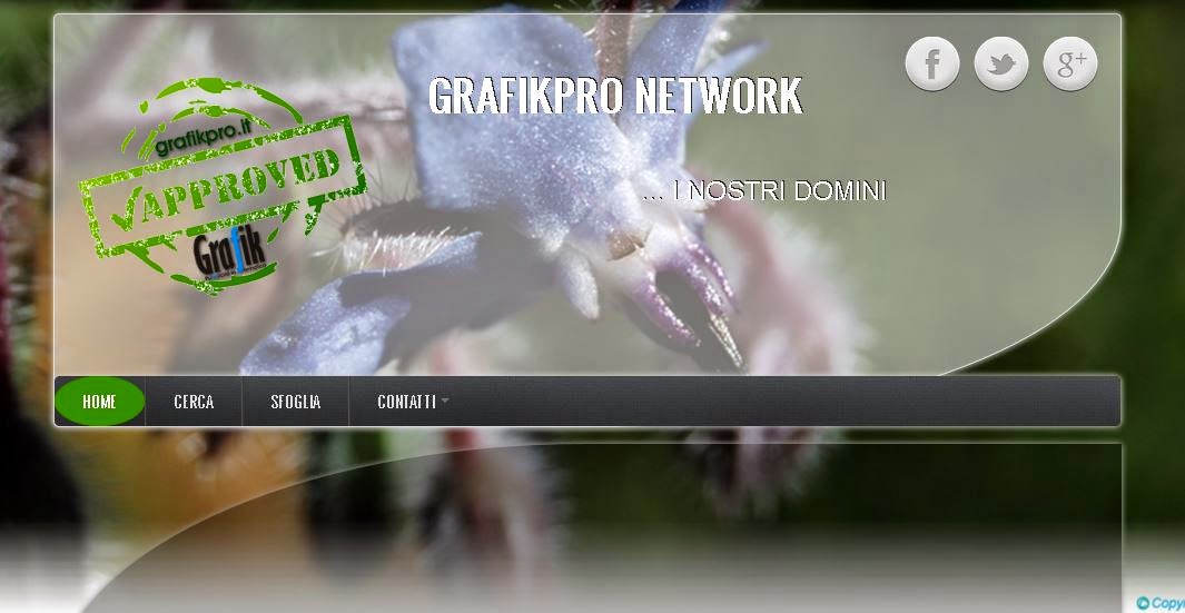 Grafikpro Network