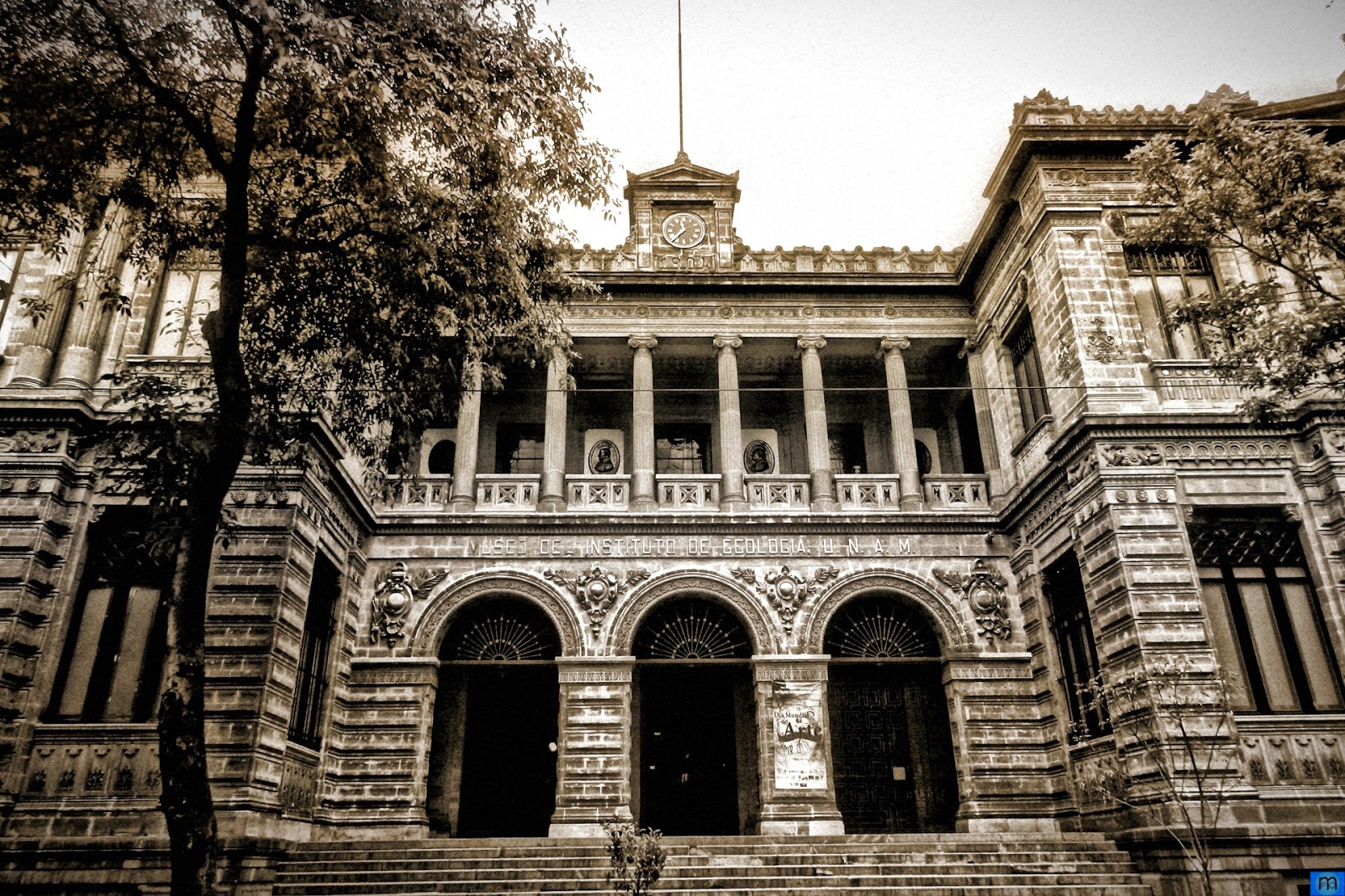 Resultado de imagen para museo geologia unam