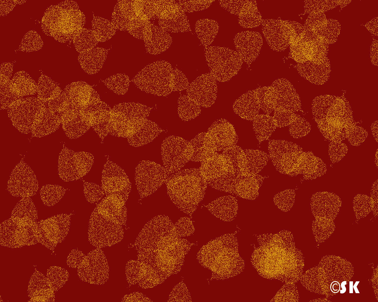 SK Creative Designs Twitter Backgrounds