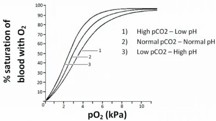 oxyhemoglobin dissociation curve