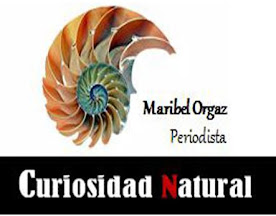 Curiosidad Natural