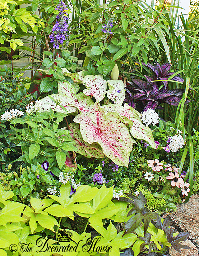 The Decorated House. Courtyard Flower Garden 2014