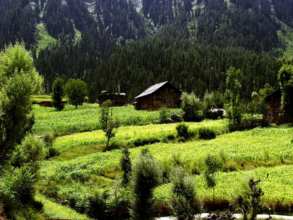 Beautiful Kashmir Wallpapers
