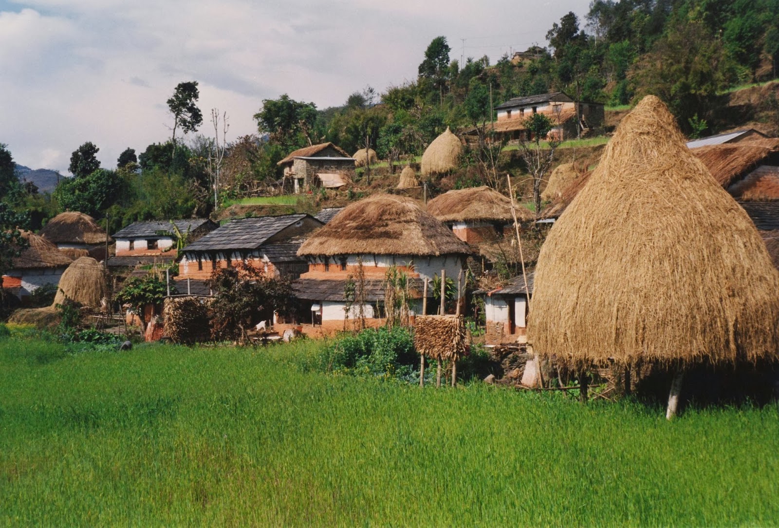 Villages of Nepal - Web Designer, SEO Specialist in Nepal, Saroj