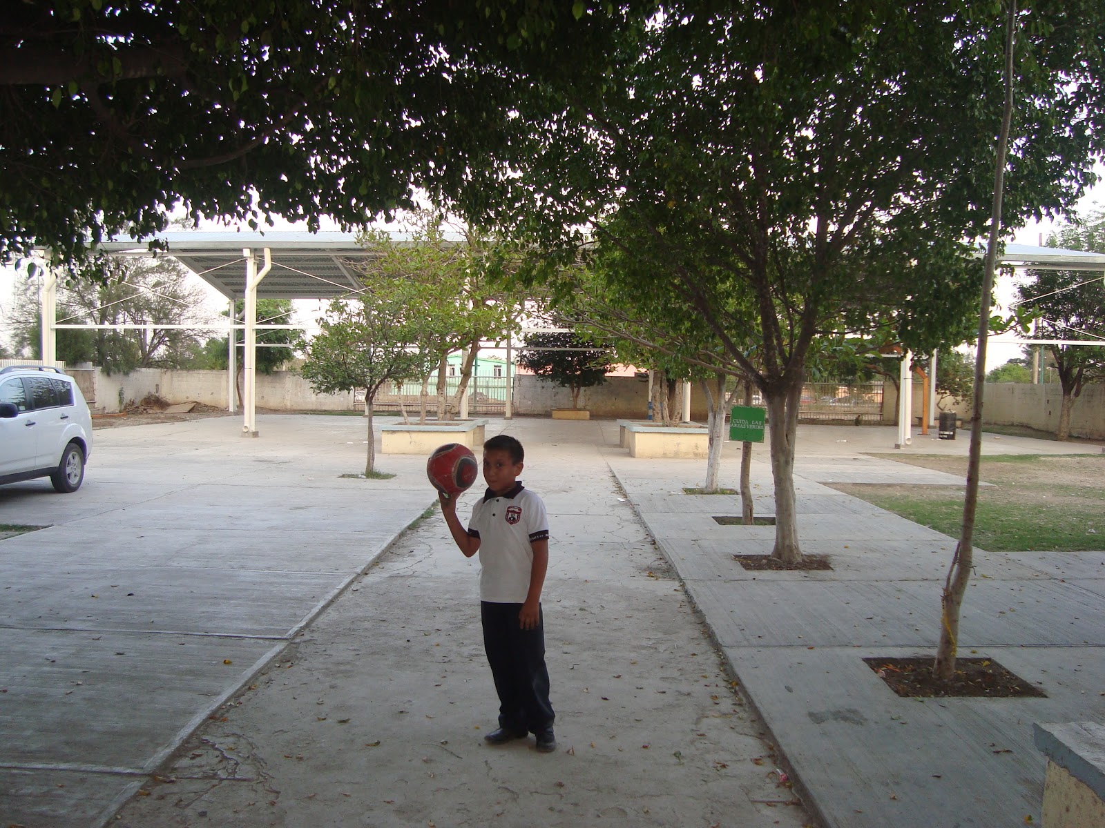 MIMA2013