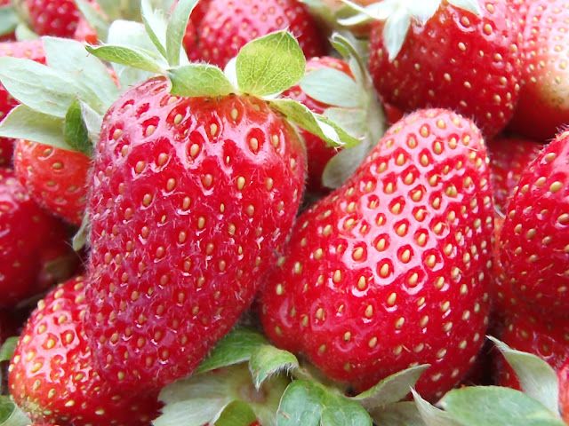 Pick'em and Preserve'm Strawberries