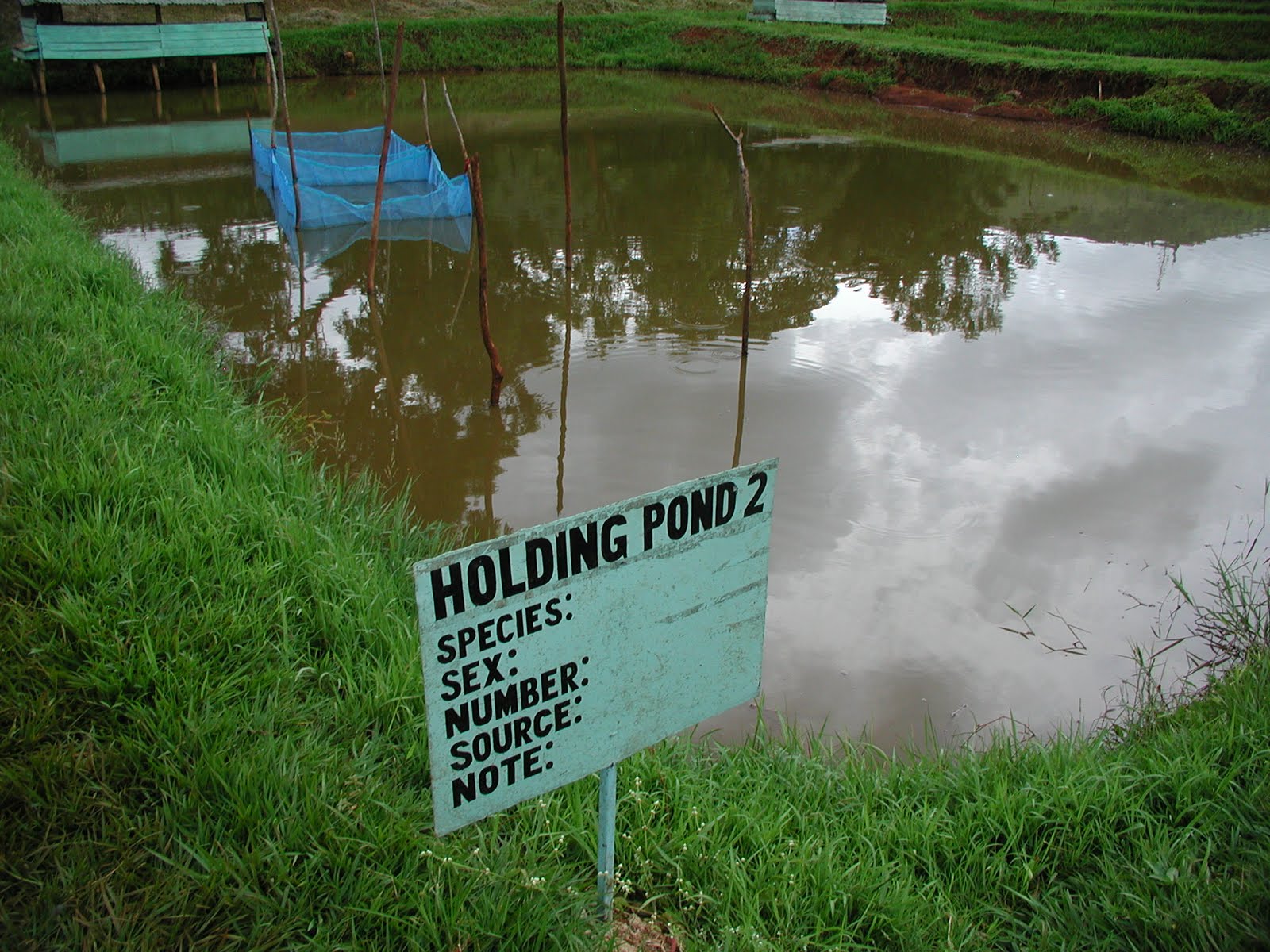 Holding Pond