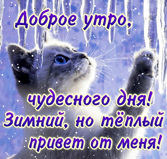 http://2.bp.blogspot.com/-8ZfBe04UA6c/Ty04O6UKIaI/AAAAAAAADCg/JK0aKTCRYrU/s1600/x_2a2560b3.jpg