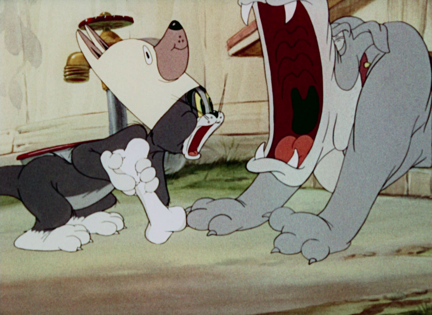 jerry dogs tom and jerry puttin on the f f info 2017 jerry dogs tom and jerry puttin on the f f info 2017