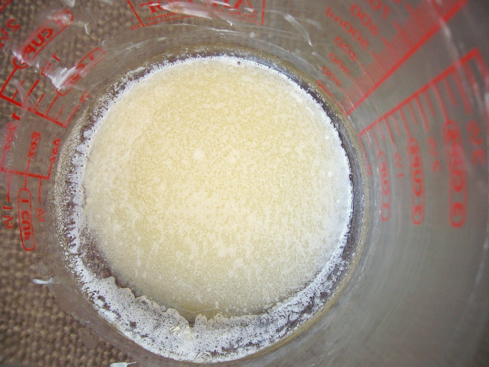 The Foodie RD Homemade Whole Wheat Honey Graham Crackers