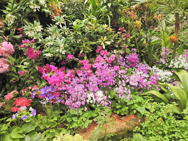 fernery-and-display-houses