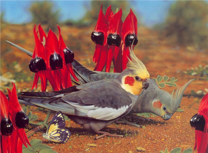 Amazing Bird Paintings - Stories Today