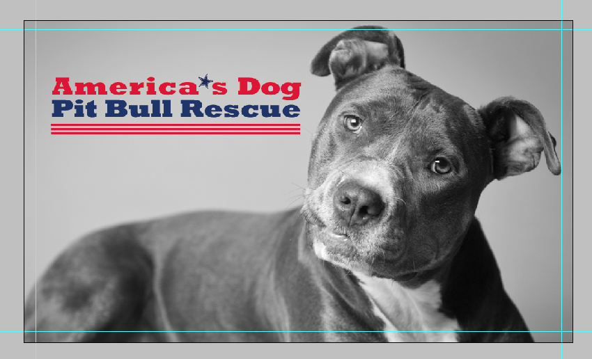 America's Dog Pit Bull Rescue