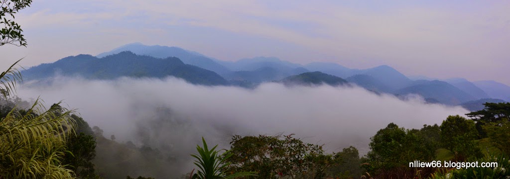 Mist rising over the Main Range