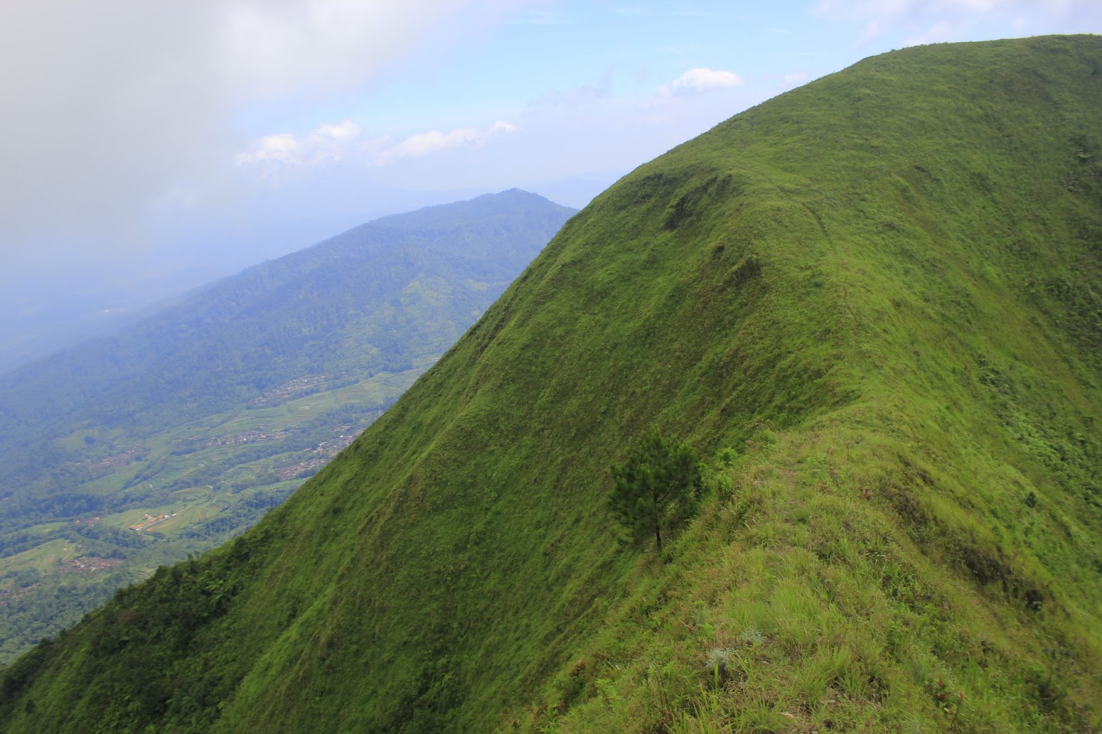 Mendaki Sendirian ke Gunung Andong | ARDIYANTA
