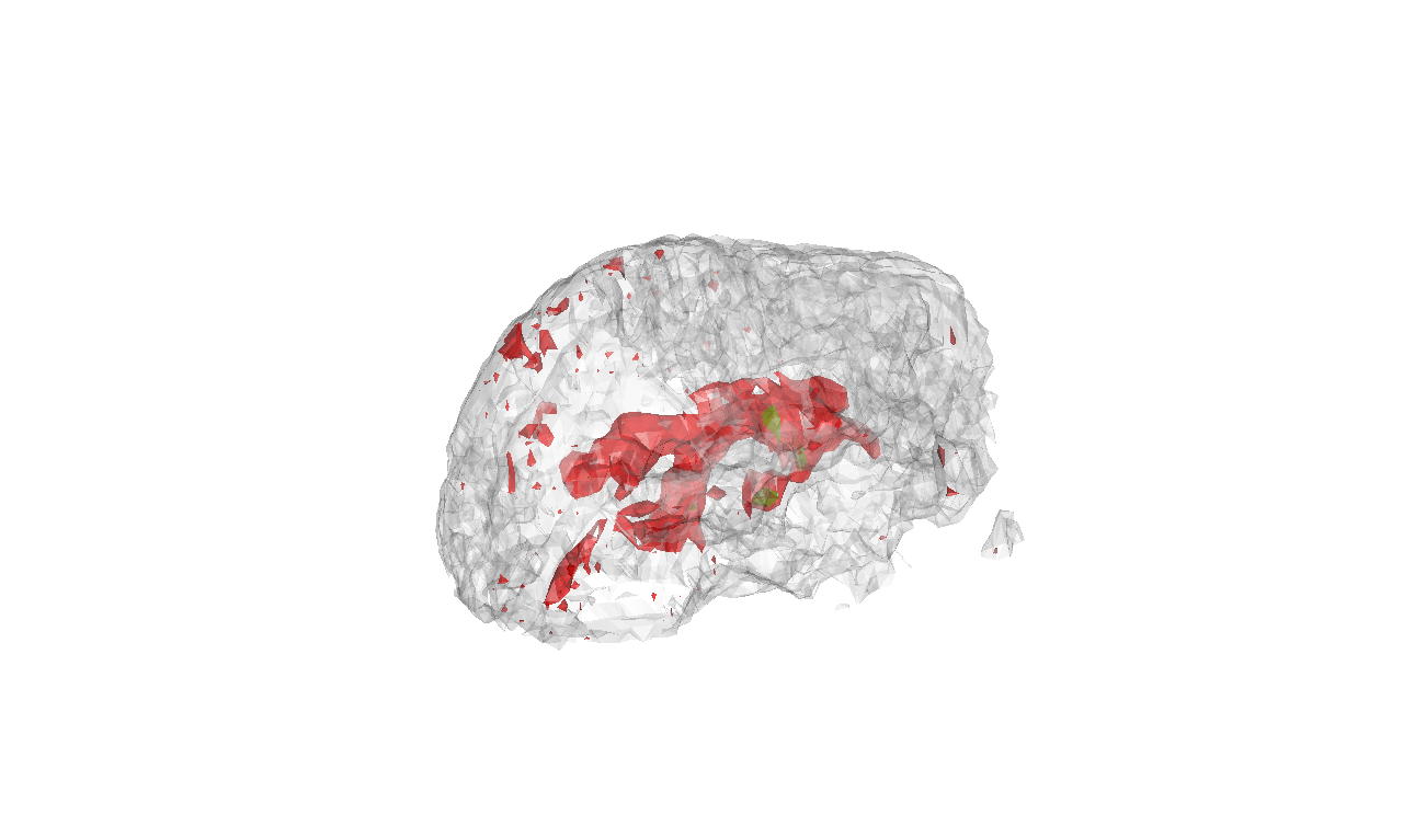 Dicom Library C