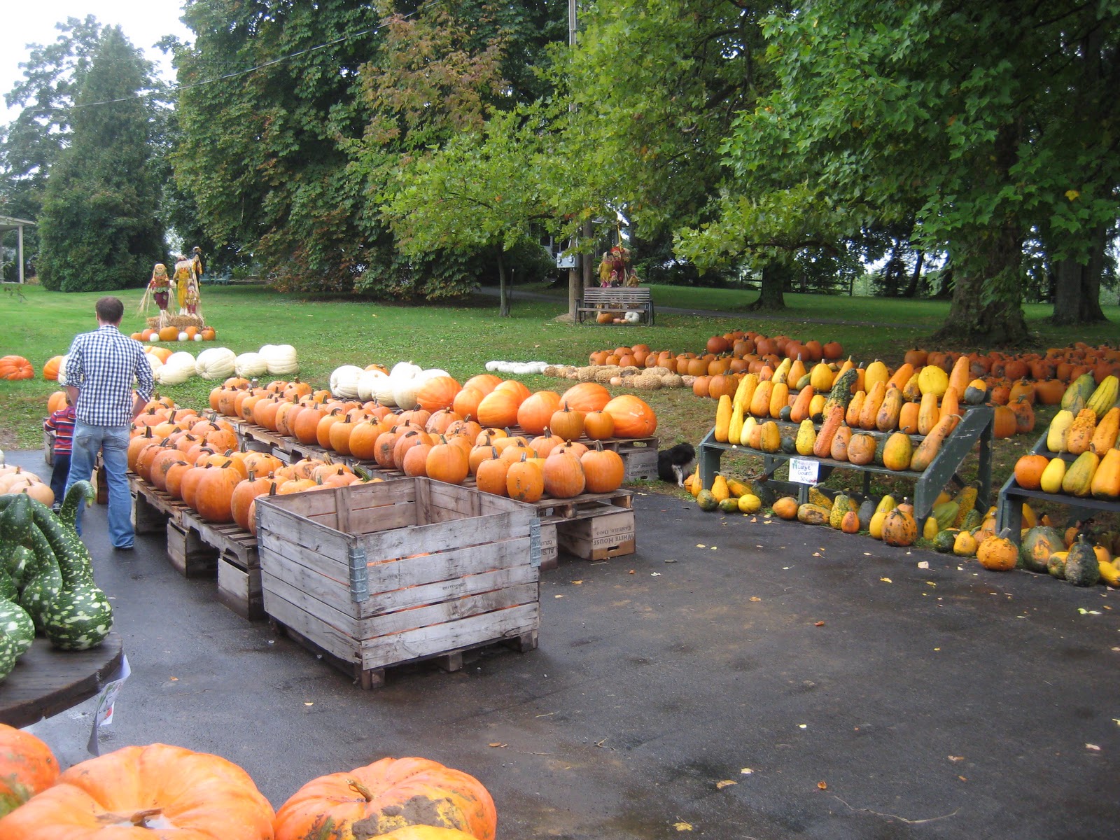 Do You Burn Toast White House Fruit Farm, Canfield, OH Yearly Fall Trip