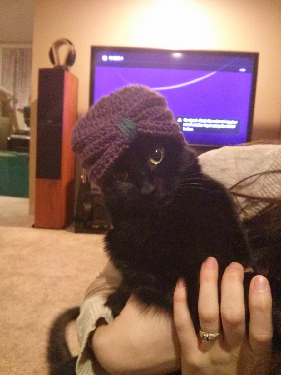 Funny cats - part 89 (40 pics + 10 gifs), cat wears knitted turban