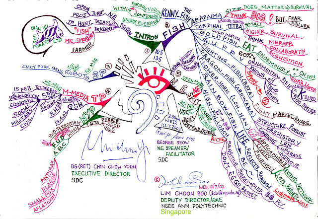 My Mind Map on Kenny Yap's 9 Fish Approach Towards Total Business Sustainability / Survival. MM+20020702+SDC+NExcitement
