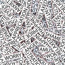 Words Words Words Tracie Peterson Books Words Words Words Tracie Peterson Books