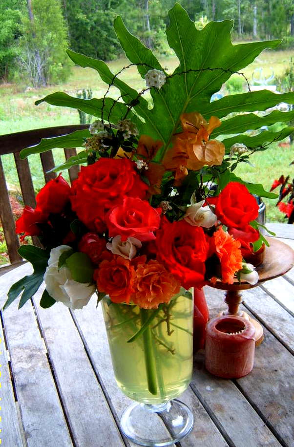 Alabama Rose and Flower Garden from a NonGreen Thumb Cutting