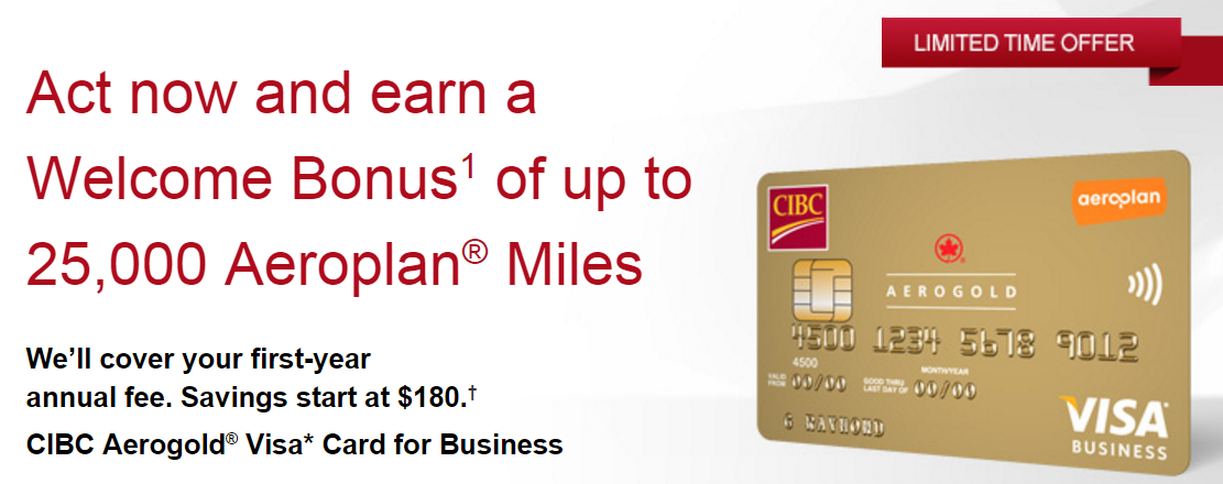 What rewards does the CIBC Visa offer?