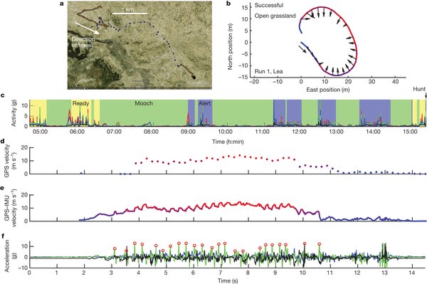 Les Nouveaux Cours De Mathematiques Du Programme Du Diplome