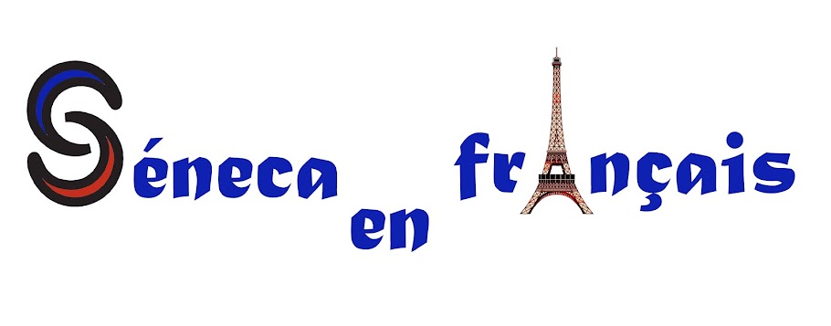 Séneca en français (primaire): Comment ça va?