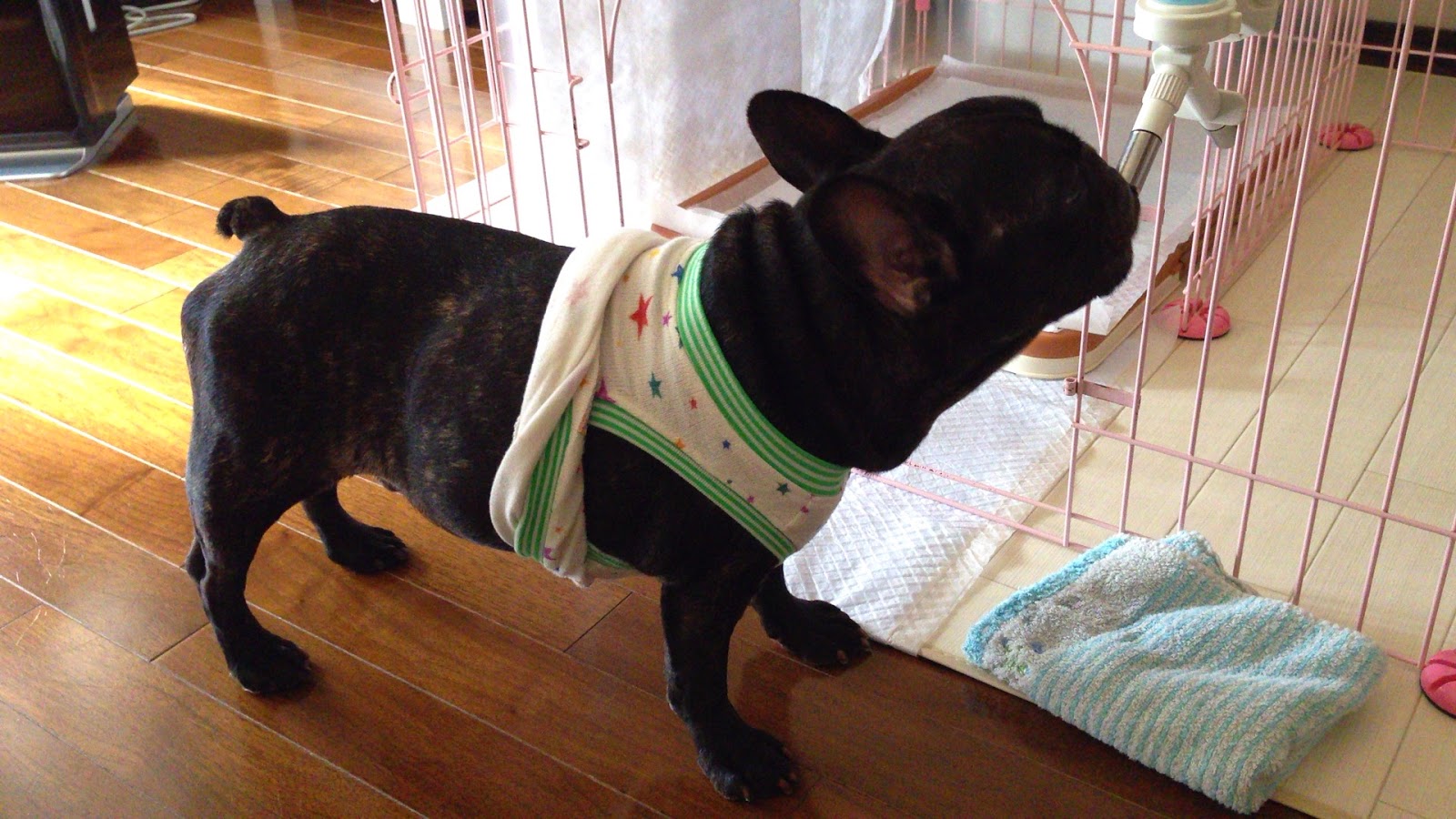 Punkとjazzと たまに北斗小力 3月 15