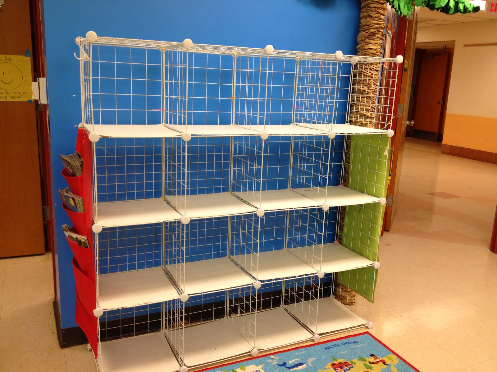 First Grade Spies Classroom Library Organization New and Improved!