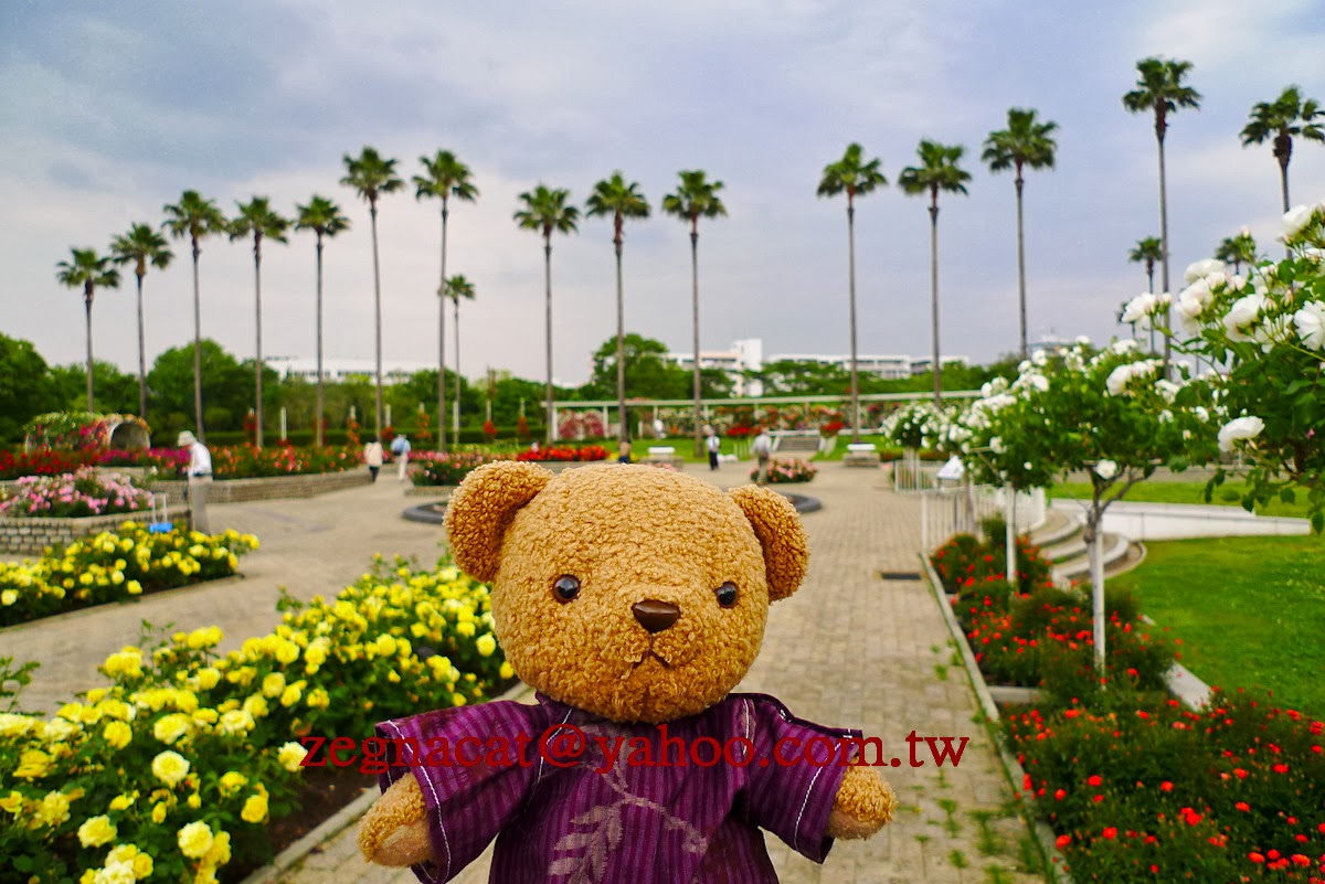 長居 植物園