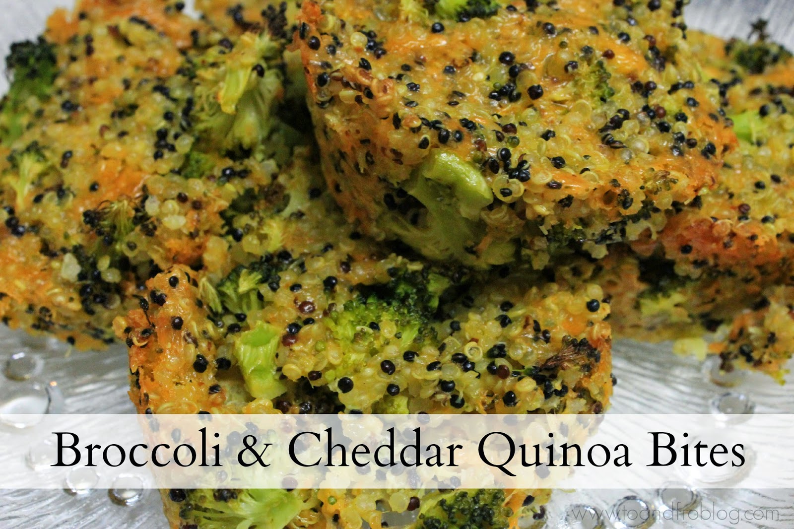 Broccoli & Cheddar Quinoa Bites To & Fro