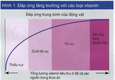 Đáp ứng tăng trưởng với các loại vitamin. Đáp ứng tăng trưởng với các loại vitamin.