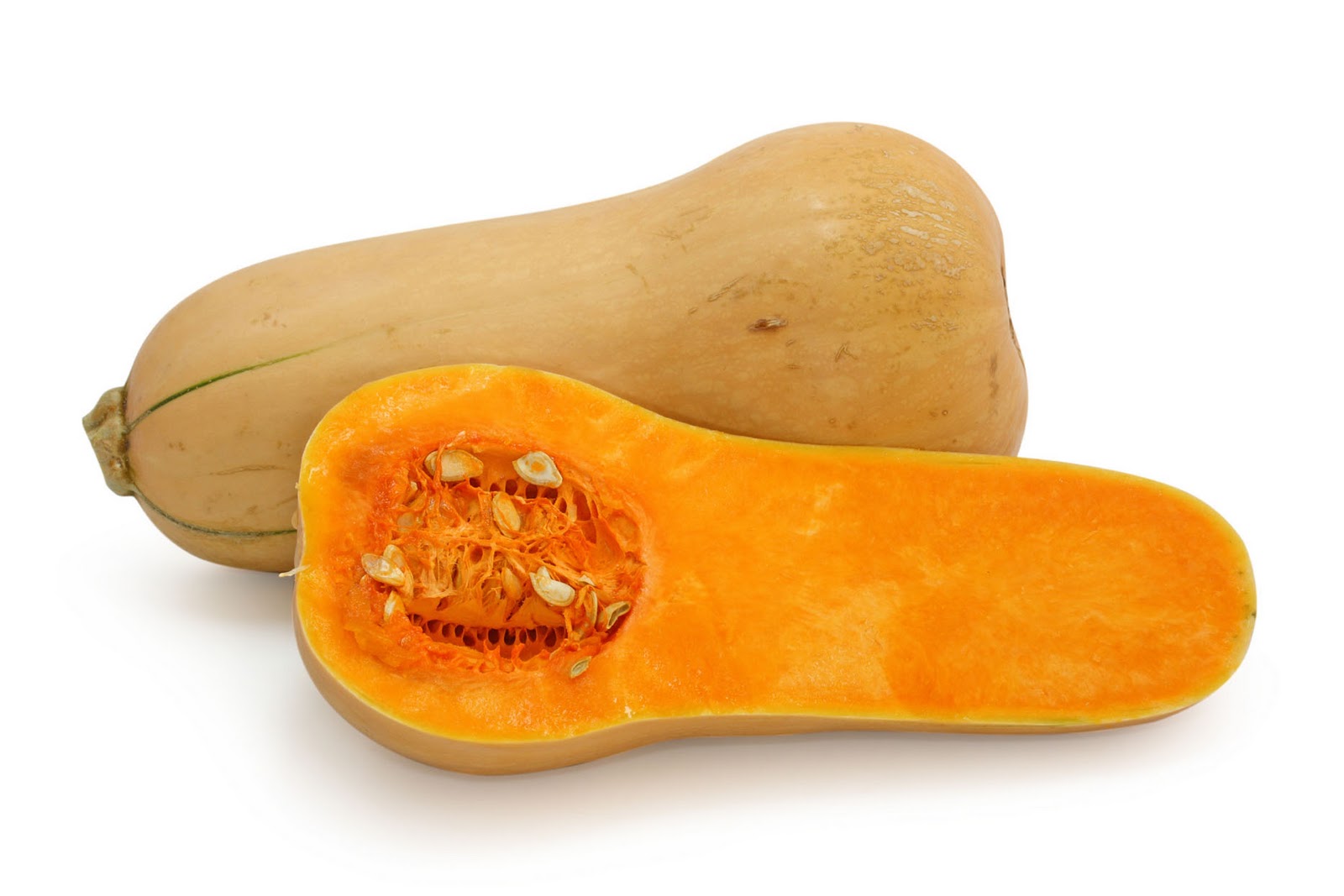 Risultati immagini per zucca butternut