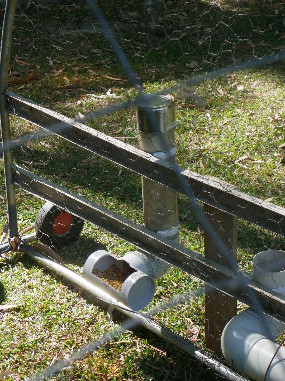 Rainbow Made Chook feeders