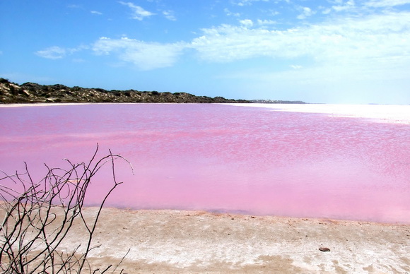10 Pink Lakes From Around the World - WorldAtlas