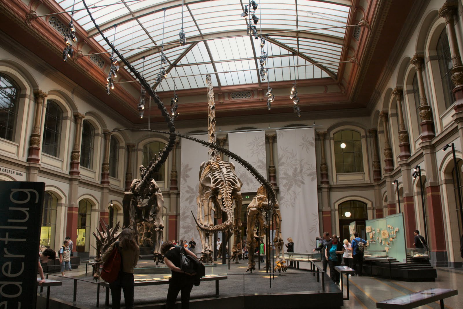 Naturkundemuseum Berlin