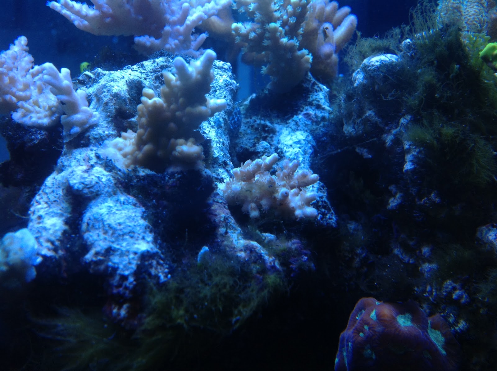 IMG_0733.JPG