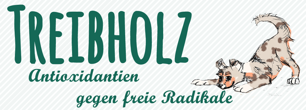 Treibholz