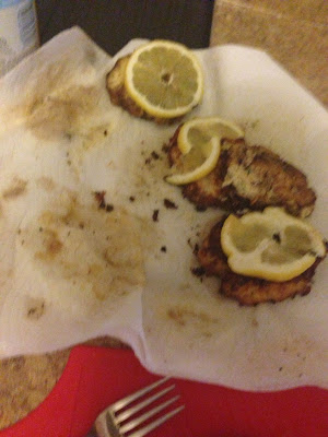 Can Dogs Have Crab Cakes Can Dogs Have Crab Cakes