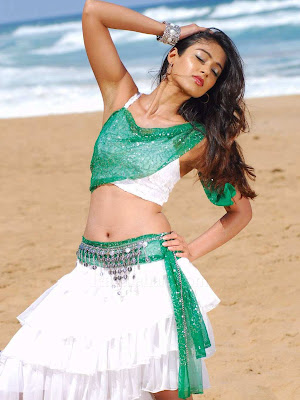 Actress Ileana Hot Navel Show Photos -1