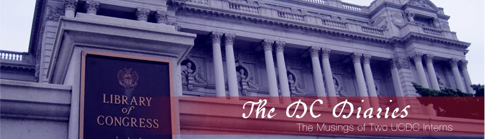 The DC Diaries - Musings of Two UCDC Interns