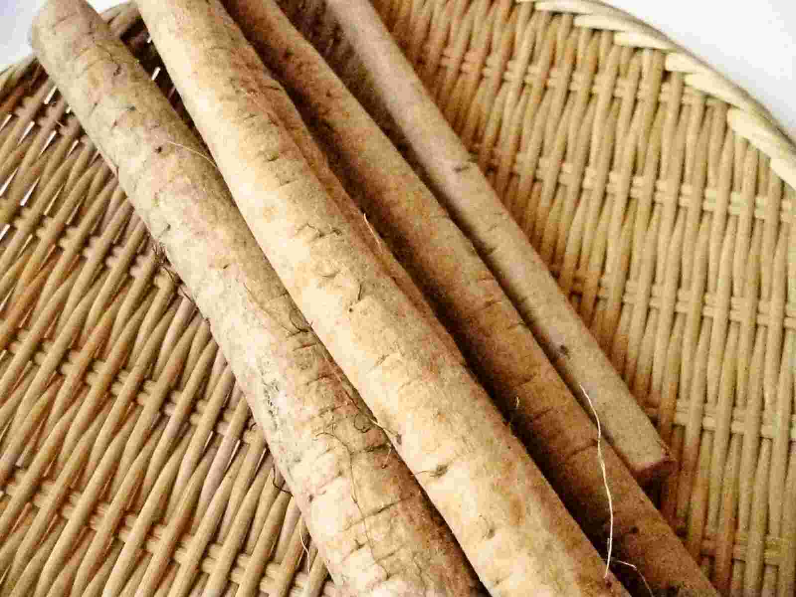 Recipes for Tom Gobo burdock root