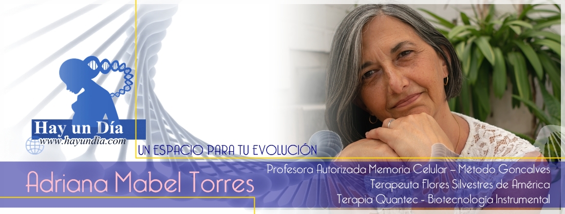 HAY UN DÍA - Prof. ADRIANA TORRES