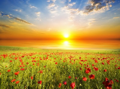 Kata Tentang Cinta Kata Kata Motivasi Pagi Islami Mutiara Bijak