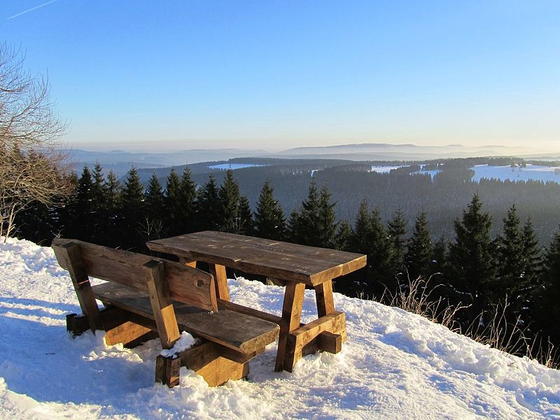 Nearly Everyone S An Immigrant Announcing Anglo German Walks 2011