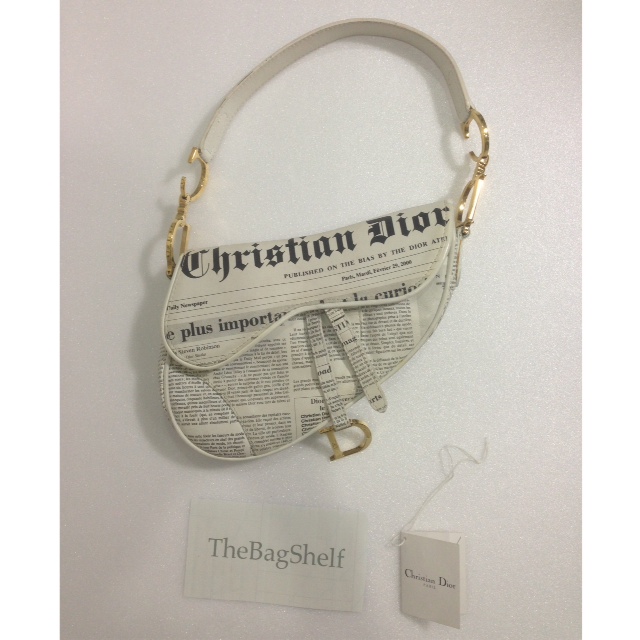 dior newspaper saddle