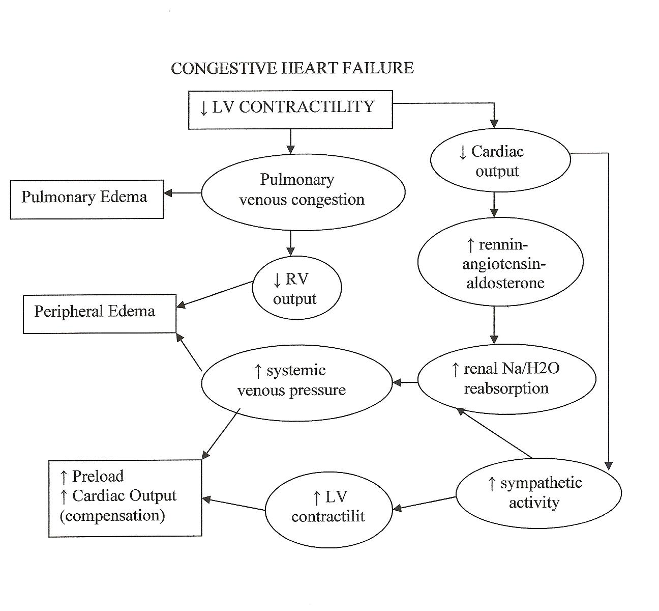 congestive failure pathophysiology