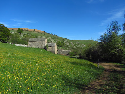 Un élevage en Lozère